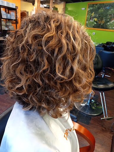 210 N State St, Clarks Summit, PA 18411, USA