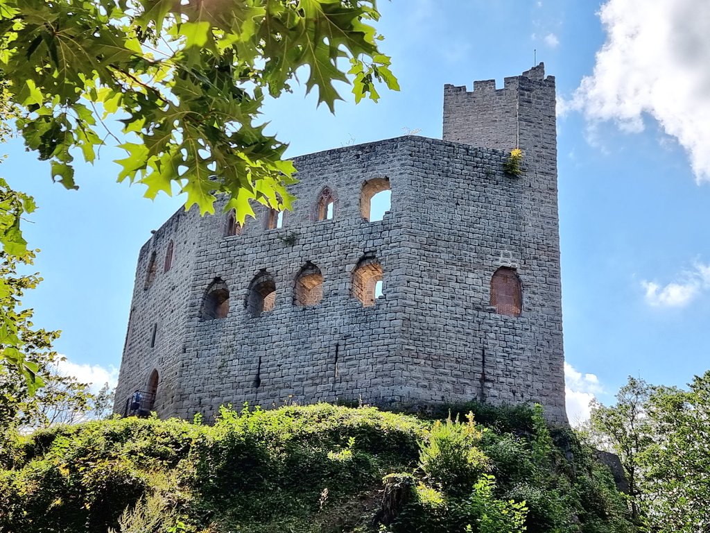 Photo n° 5 de l'avis de Sébastien.E fait le 12/09/2021 à 14:46