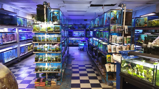 Pet Store «Fish 4 U», reviews and photos, 4010 Highland Dr #1, Millcreek, UT 84124, USA