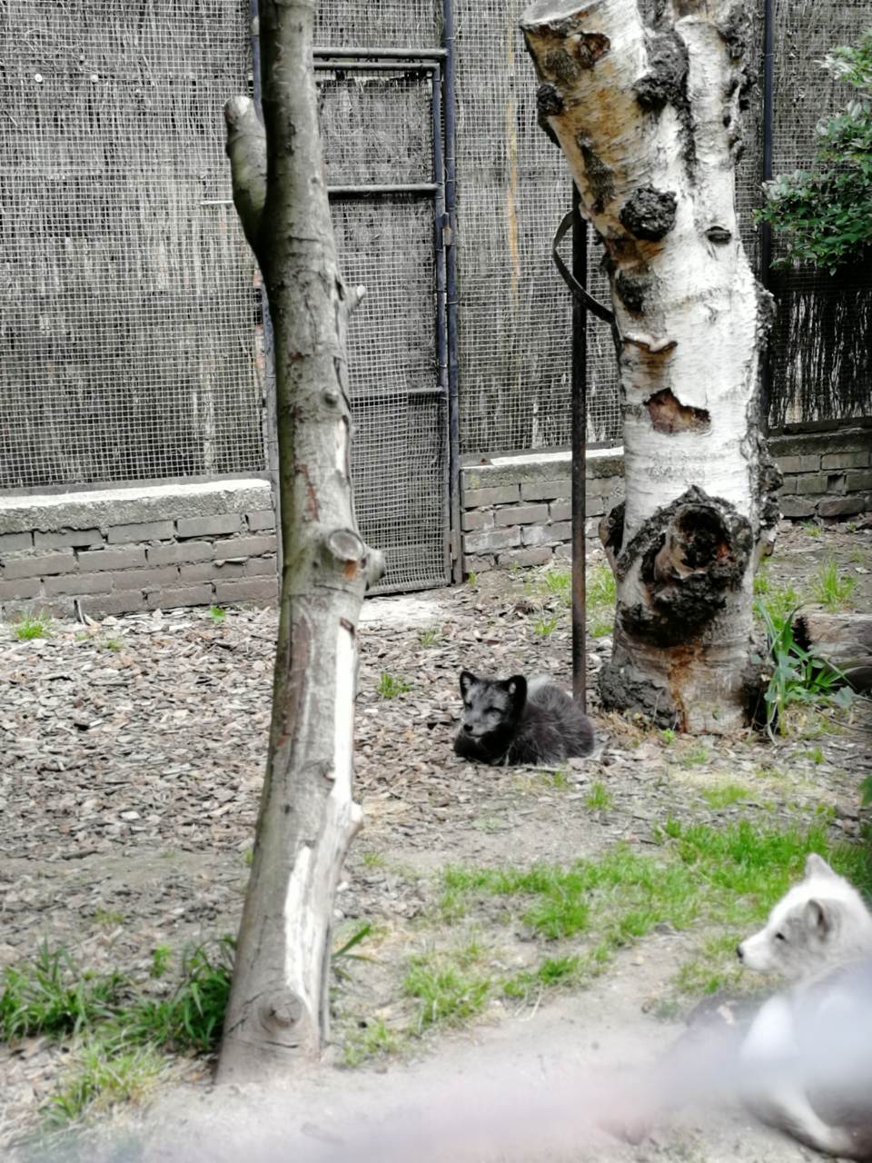 Photo n° 3 de l'avis de Amine.U fait le 09/09/2019 à 14:00