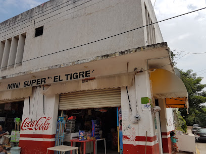 Mini Super El Tigre Andrés Calderón 14, Pazo Real, 40607 San José Poliutla, Gro. Mexico