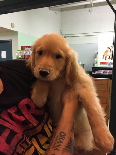 Pet Store «The Dog House», reviews and photos, 120 Hale Rd #1, Manchester, CT 06042, USA