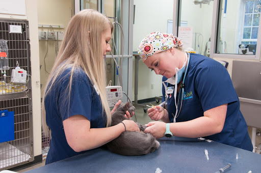 738 Ridge Rd, Lawrenceville, GA 30043, USA