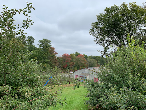 Orchard «George Hill Orchards», reviews and photos, 582 George Hill Rd, South Lancaster, MA 01561, USA