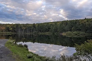 Stoney Pond State Forest image