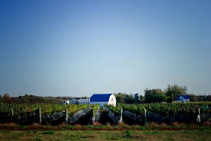 Harwood Estate Vineyards & Winery image