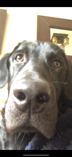 Insurance Agency «Jeff Summers - State Farm Insurance Agent», reviews and photos