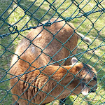 Photo n°3 de l'avis de Ronald.. fait le 13/04/2023 à 22:37 sur le  Zum Aumatal à Weida