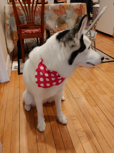 Supermarket «Walmart Neighborhood Market», reviews and photos, 2551 W Cermak Rd, Chicago, IL 60608, USA