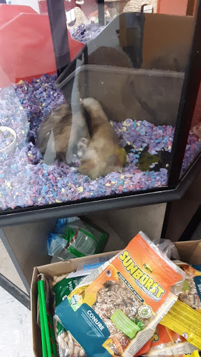 Pet Supply Store «Petco Animal Supplies», reviews and photos, 216 Colony Pl, Plymouth, MA 02360, USA