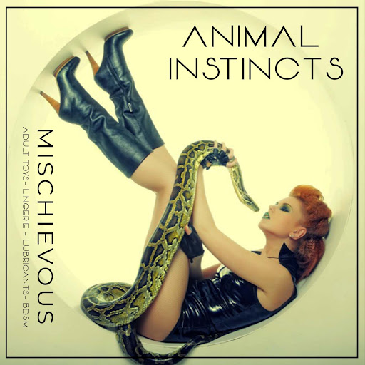 Adult Entertainment Store «Mischievous», reviews and photos, 559 300 W, Salt Lake City, UT 84101, USA