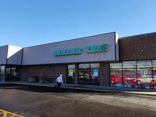 Dollar Store «Dollar Tree», reviews and photos, 505 N Ankeny Blvd, Ankeny, IA 50023, USA