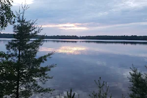 Pickerel Lake image