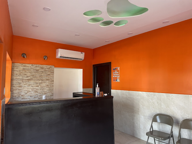 ANIMAL LIFE CLINICA VETERINARIA