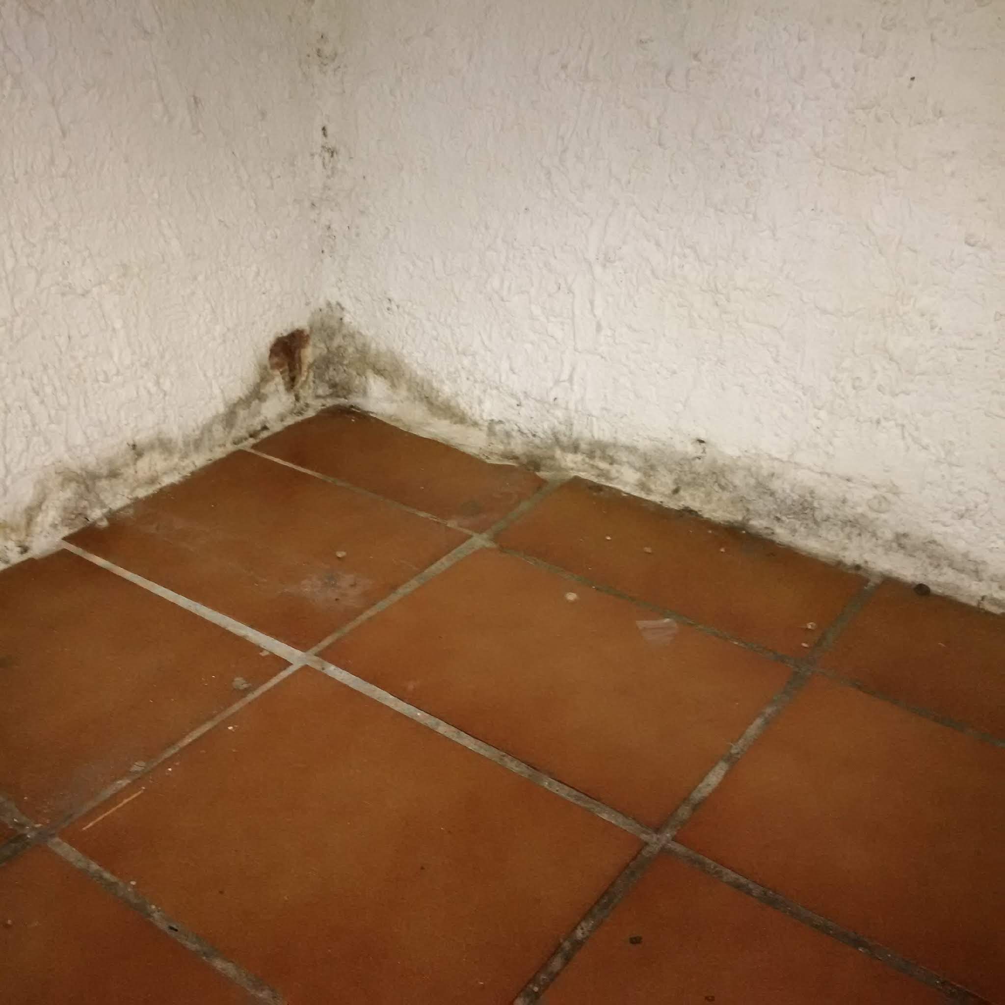 Photo n° 3 de l'avis de Angélique.e fait le 19/04/2019 à 08:27