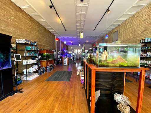 Tropical Fish Store «Watercolors Aquarium Gallery», reviews and photos, 11 Jefferson Ave SE, Grand Rapids, MI 49503, USA