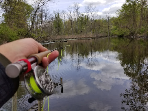 Park «Beekman Recreation Park», reviews and photos, 29 Recreation Center Rd, Hopewell Junction, NY 12533, USA