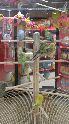 Pet Supply Store «Petco Animal Supplies», reviews and photos, 3444 S Mooney Blvd, Visalia, CA 93277, USA