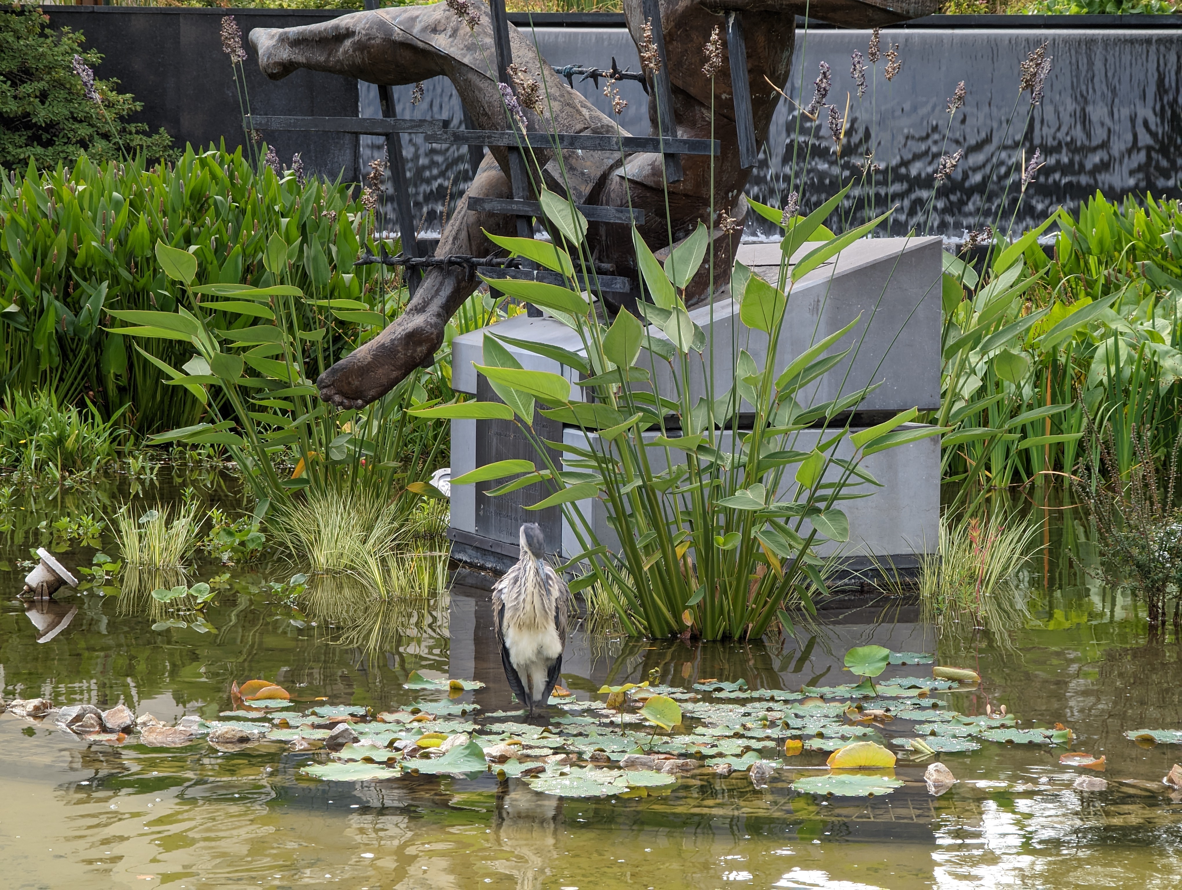 Photo n° 15 de l'avis de Virgile.o fait le 24/09/2022 à 16:40