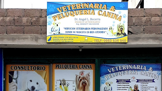 Veterinaria & Peluqueria Canina, Dr. Angel Becerra, Peluqueria Canina, Emergencias Veterinarias, Cirugías - Veterinario