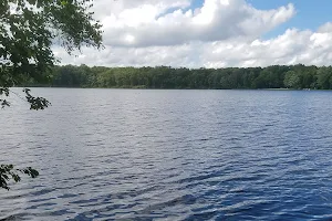 Otter Lake image