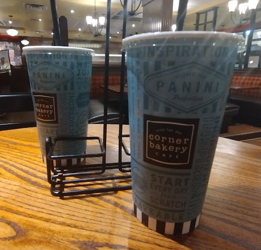 American Restaurant «Corner Bakery Cafe», reviews and photos, 4021 N 10th St, McAllen, TX 78504, USA
