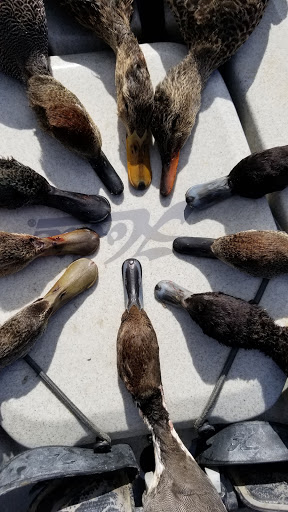 Canoe & Kayak Store «Austin Canoe & Kayak», reviews and photos, 4554 S Interstate Hwy 35, San Marcos, TX 78666, USA