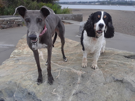 State Park «Squantum Point Park», reviews and photos, Miwra Haul Rd, Quincy, MA 02171, USA