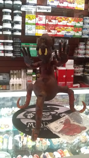 Tobacco Shop «Head Lines Smokes», reviews and photos, 1056 Broad Ripple Ave, Indianapolis, IN 46220, USA