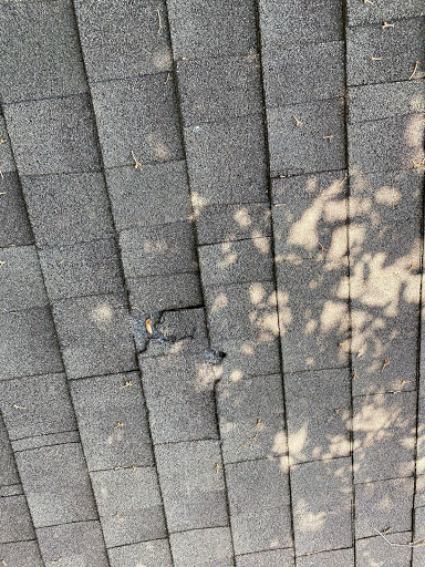 Roofing Contractor «Bert Roofing Inc.», reviews and photos, 10021 Cayuga Dr, Dallas, TX 75228, USA