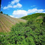 Photo n°3 de l'avis de Markus.u fait le 14/05/2019 à 09:08 sur le  Gutshof Zenz à Ediger-Eller