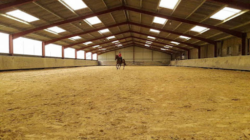 Centre équestre EARL les Ecuries de la Borde - Poney Club - pension chevaux de propriétaires - élevage - SAUMUR Neuillé