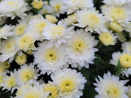 Park «Van Der Donck Park», reviews and photos, 41 Dock St, Yonkers, NY 10701, USA