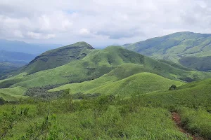 Kudremukha National Park image