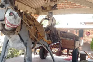 Burrolandia México image