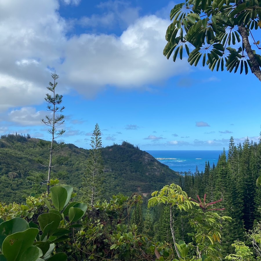 Hauʻula Forest Reserve