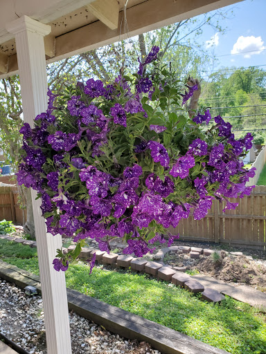 Florist «Parkview Gardens Florist & Greenhouse», reviews and photos, 1925 W Randolph St, St Charles, MO 63301, USA