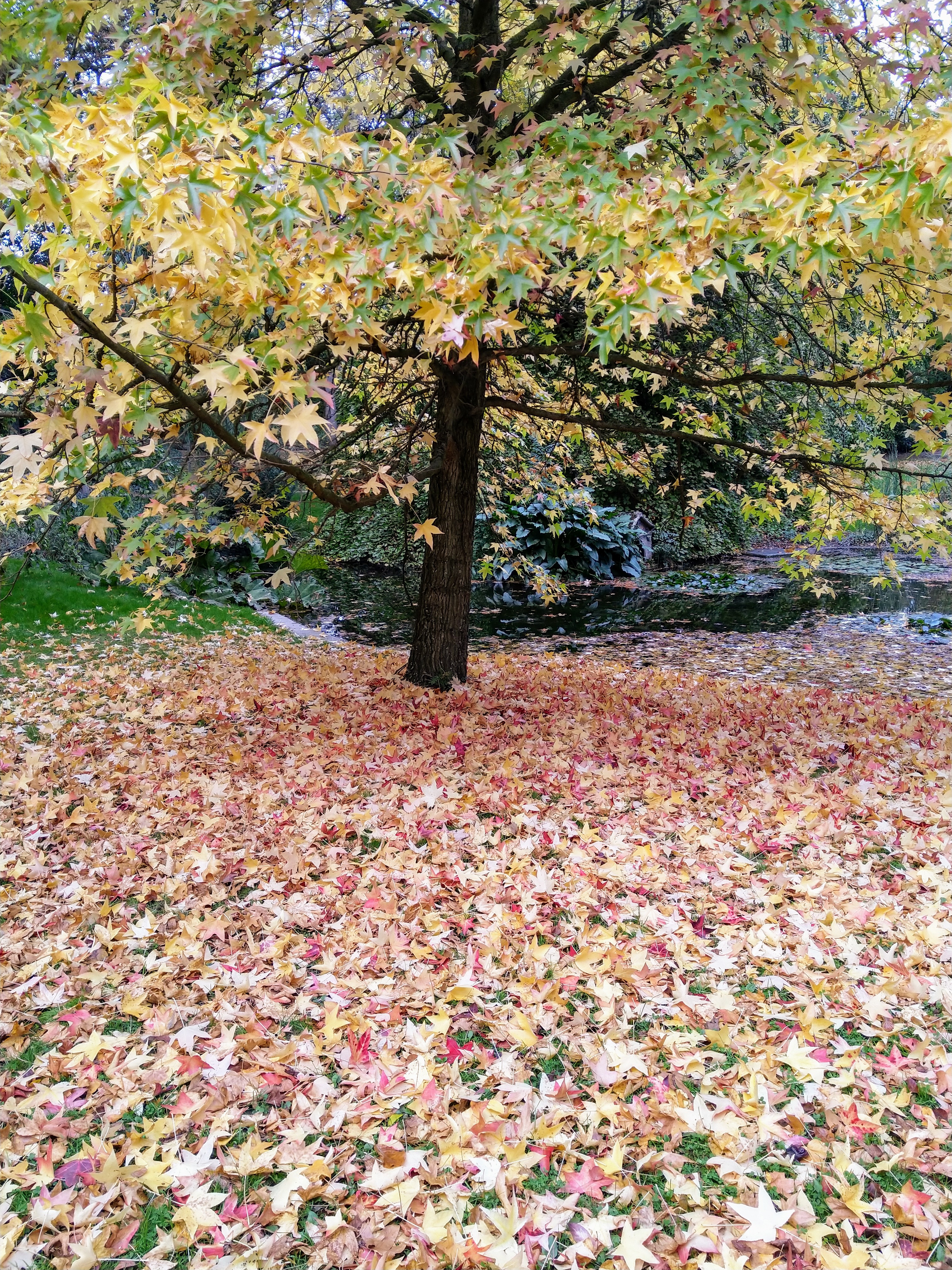 Photo n° 7 de l'avis de Marie-Laure.e fait le 30/10/2018 à 09:37