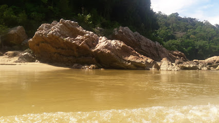 Sungai Tembeling