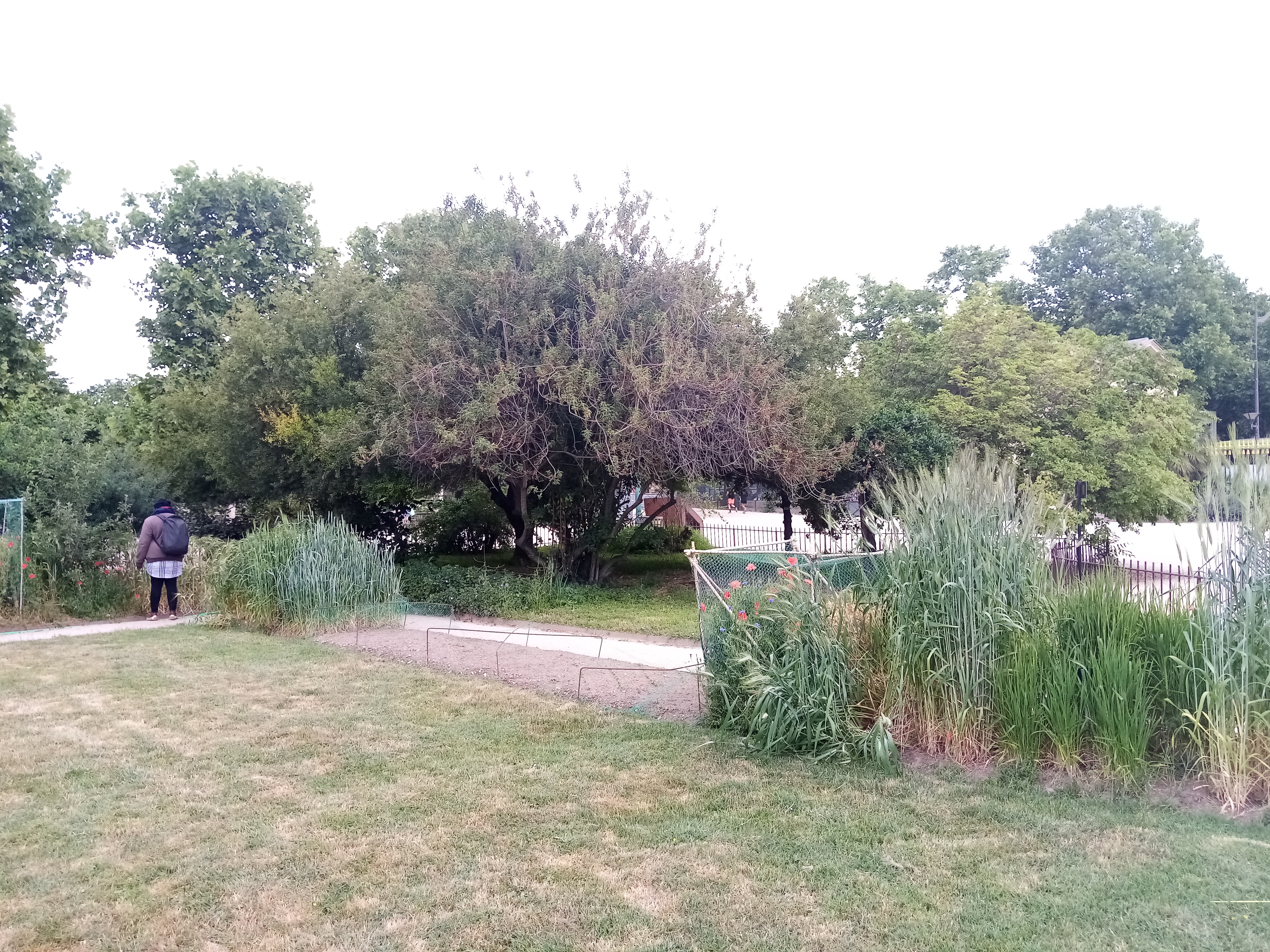 Photo n° 7 de l'avis de Mykola.a fait le 22/05/2022 à 18:49