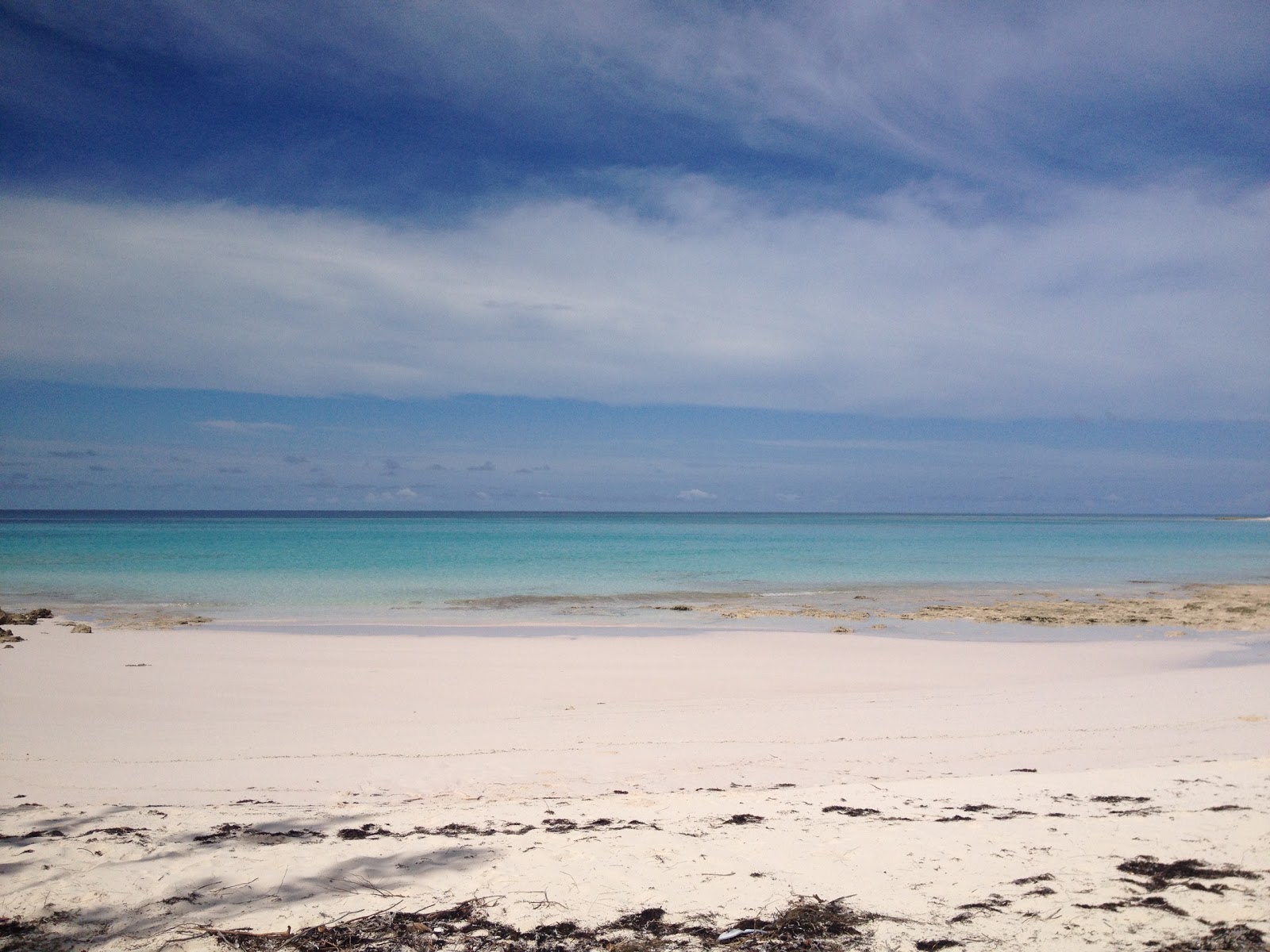 Lighthouse beach photo #9