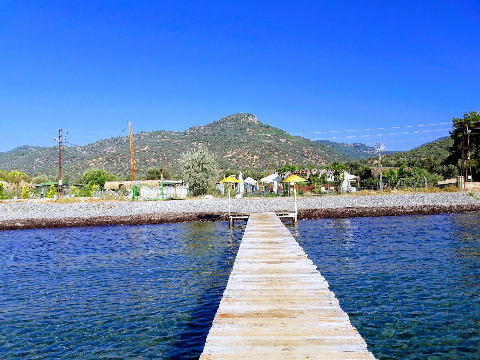 Foto av Assos Free beach med något ren nivå av renlighet
