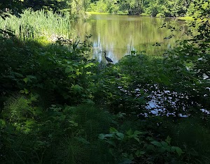 Green Acres Park - photo 38