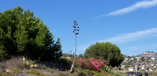 Golf Course «The Links at Terranea», reviews and photos, 100 Terranea Way, Rancho Palos Verdes, CA 90275, USA