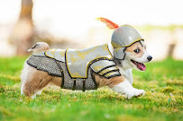 Lawn Doctor of North Bradenton-Parrish-Valrico - Photo 6 - Car repair in , Riverview