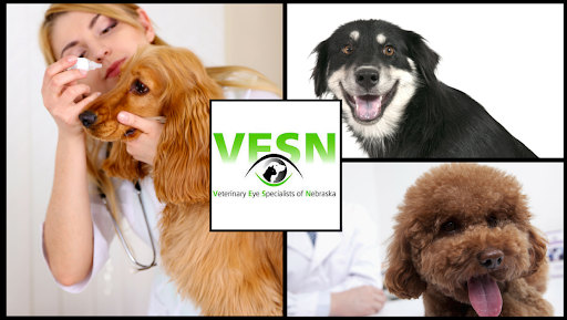Veterinary Eye Specialists of Nebraska image