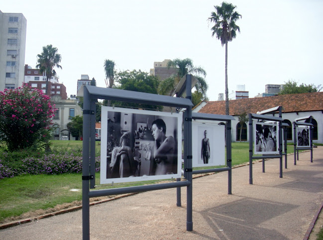 Opiniones de Galeria Fotografica en Montevideo - Museo