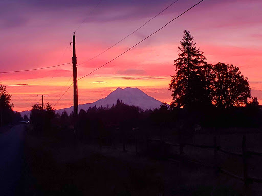 Towing Service «Patriot Towing Recovery», reviews and photos, 5868 Pacific Ave SE Ste B, Lacey, WA 98503, USA