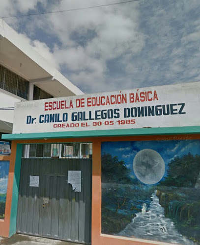 Opiniones de Escuela De Educación Básica Dr. Camilo Gallegos Dominguez en Machala - Escuela
