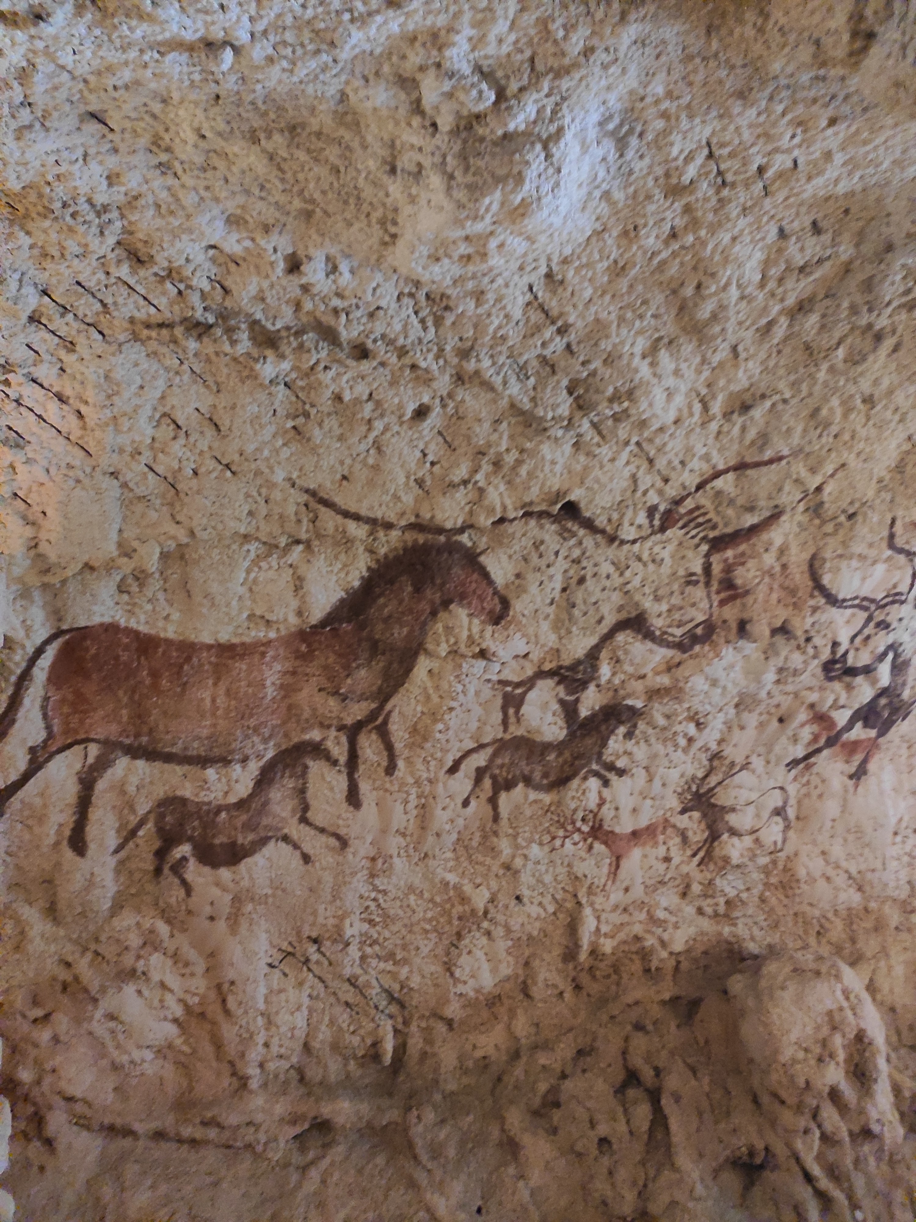 Photo n° 3 de l'avis de Caroline.e fait le 16/08/2022 à 18:52